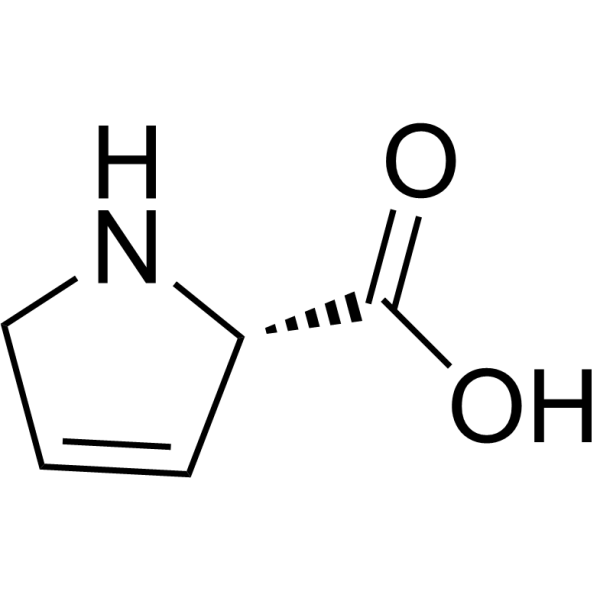 3,4-Dehydro-L-proline 4043-88-3